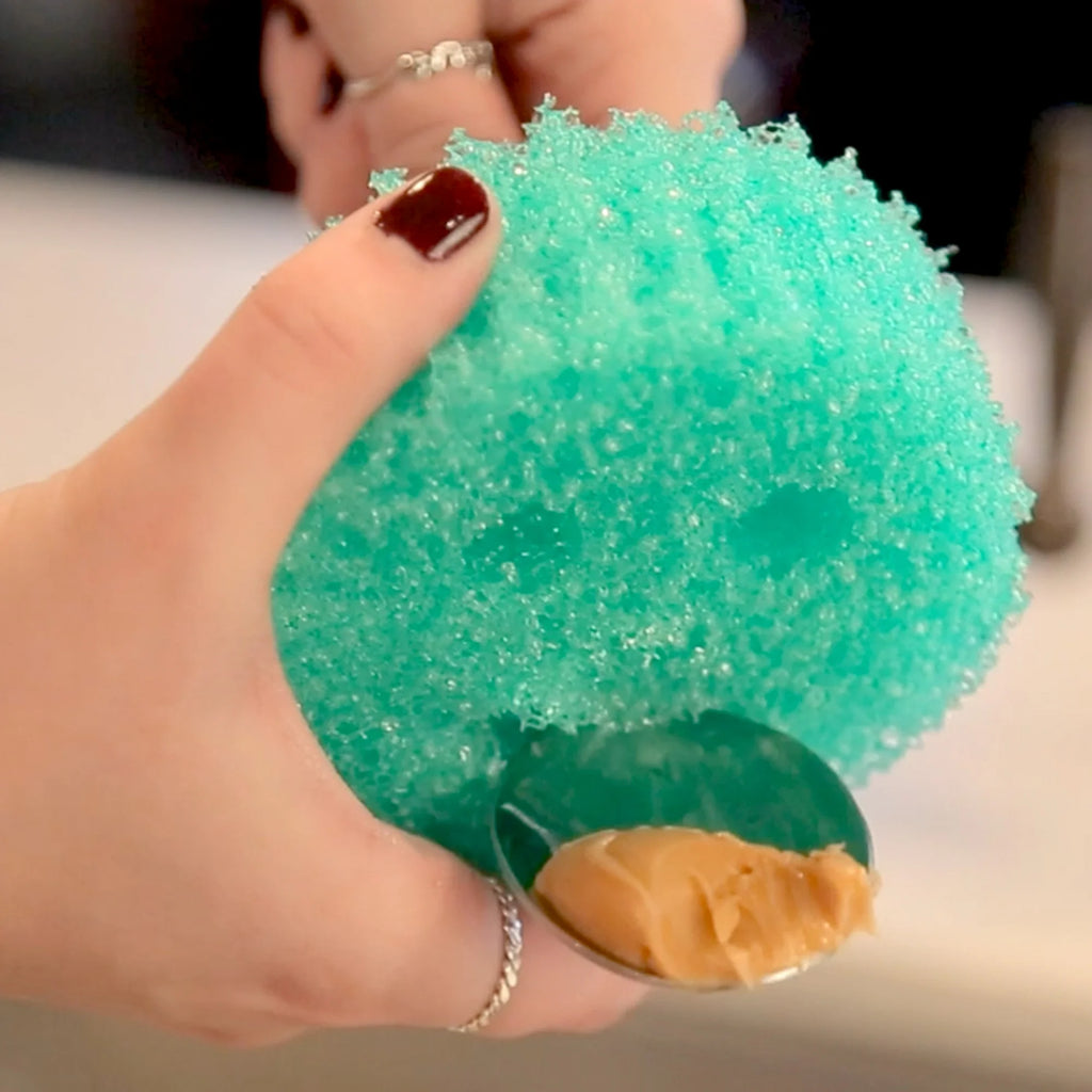 Scrub Daddy Colors 4-Count Non-Scratch Multipurpose Sponges – FlexTexture® Kitchen & Home Cleaners